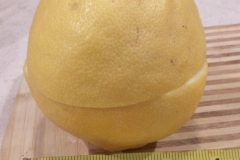 (1/3) "Wow, never seen lemons like this." -Mike Jones