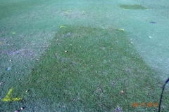 (4/5) With the use of Blue Gold™ Base and Blue Gold™ Fusion Compost, this Golf Course test yields extremely visible results.