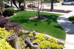 (2/7) This home is receiving the best of the Blue Gold™ and is winning landscape awards. Look how green the grass is compared the neighbors across the street.
