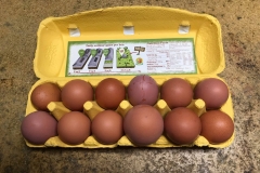 (5/5) The Dozen Grand Champion Eggs