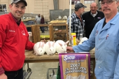 (1/7) Market Rabbit Show Winnings: Grand Chose MP Youth in the NZ Specialty Show US Meat Pen Championship Winnings:  Grand and Res Ch Youth Meat Pens  Grand and 3rd Open Meat Pens Grand and Res Open Single Fryers