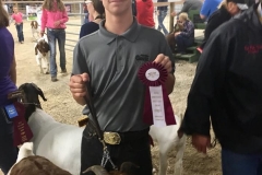 (1/2) Indiana Boer Goat Classic Fall Classic: Show One: Queen Sheba - Yearling Division Champion and “Lupe”- 2nd Place Commercial Doe Show Two: Queen Sheba- Reserve Overall Percentage Doe