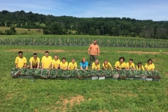 Mike Smith uses Blue Gold™ Solutions on his Shenandoah Valley Produce Farm for his Willow Grove Farm CSA as well as his Community Farm where produce is given away to families in need. This photo is a harvest of 169 pounds of Kale for those families. (www.willowgrovefarmcsa.com)