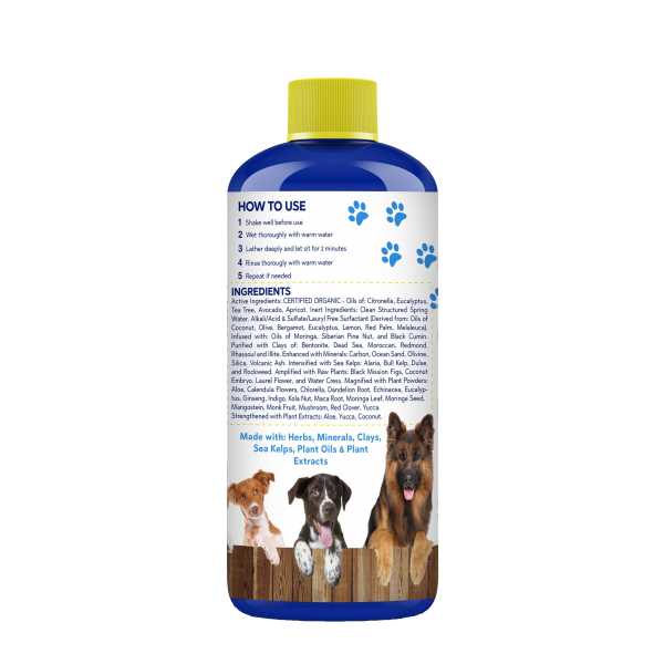 We take pet care seriously with our Blue Gold Dog Shampoo! For optimum pet health, we recommend our dog nutritional supplement: Grand Champion. Available in two sizes on our Amazon Store page or search, "grand champion supplement". Our All Natural Dog Shampoo is recommended for: itchy dogs, dog skin allergies itching, pet groomer supplies, dog skin infection treatment, itchy dog treatment, itchy dog skin relief, dog eczema treatment, best dog deodorizer, dog shedding control, dog scratching relief, natural deodorizer for dog, dog deodorizer, pet care for dogs, pet care products for dogs, dog shampoo hypoallergenic, itchy dog shampoo, best dog shampoo for itchy skin, dog shampoo natural, dog shampoo for itchy skin, dog shampoo and conditioner, dog shampoo organic, dog shampoo shedding, dog shampoo tea tree, dog shampoo yeast, best dog shampoo for shedding, best dog shampoo for skin allergies, dog shampoo deshedding, dog shampoo yeast infection, best dog shampoo for dry itchy skin, dog shampoo for dry itchy skin, dog shampoo good smelling, dog shampoo skin allergies, dog shampoo smells good, best hypoallergenic dog shampoo, best natural dog shampoo, dog shampoo dry itchy skin, dog shampoo essential oil, dog shampoo odor control, best dog shampoo for smelly dogs, dog skin infection shampoo, natural dog shampoo for itchy skin, show dog shampoo, dry skin on dogs, itchy dog, dog itchy skin, dog skin allergies, dog shedding, dog rashes, dog skin conditions, dermatitis in dogs, dog scratching, dog skin infection, dog yeast skin infection, bumps on dogs skin, dog skin problems, dog skin diseases, dog eczema, dry itchy skin on dogs, dog skin allergies treatment, dog itchy skin relief, reduce dog shedding, dog fungal skin infection, itchy dog skin, itchy dog relief, itchy dog remedies, itchy dog remedy, dog hair shedding, dog yeast skin infection treatment, itchy dog treatment, dog skin infection treatment, itchy dog skin relief, itchy dog rash, dog scratching relief, MORE! all natural dog shampoo for sensitive skin, all natural dog shampoo for shedding, best dog shampoo for allergy itchy skin, fresh and soothing dog shampoo, dog shampoo, best dog shampoo, dog flea shampoo, best dog flea shampoo, flea shampoo, dog shampoo oatmeal, anti fungal dog shampoo, medicated dog shampoo, puppy shampoo, best puppy shampoo, dandruff shampoo for dogs, puppy flea shampoo, dog whitening shampoo, hypoallergenic dog shampoo, antibacterial dog shampoo, natural dog shampoo, fresh and clean dog shampoo, organic dog shampoo, dog soap, moisturizing dog shampoo, shampoo for white dogs, soap free dog shampoo, all natural dog shampoo, anti dandruff shampoo for dogs, dog dander shampoo, deodorizing dog shampoo, antibacterial soap for dogs, scabies shampoo for dogs, smelly dog shampoo, anti dander dog shampoo, soapless dog shampoo, natural puppy shampoo, soapless shampoo, show dog shampoo, flea shampoo for dogs that works, flea shampoo dogs, flea shampoo for dogs  best flea shampoo for dogs, dog shampoo with oatmeal, dog shampoo antifungal, dog shampoo medicated, dog shampoo dry skin, dog shampoo for allergies, dog shampoo for dandruff, dog shampoo for dry skin, dog shampoo allergies, dog shampoo dandruff, flea shampoo puppy, best flea shampoo, flea shampoo for puppies, puppy shampoo for fleas, dog shampoo hypoallergenic, dog shampoo itching, dog shampoo whitening, itchy dog shampoo, best dog shampoo for itchy skin, dog itchy skin shampoo, dog shampoo anti itch, dog shampoo earthbath, dog shampoo natural, dog shampoo with benzoyl peroxide, dog shampoo with chlorhexidine, best dog shampoo for allergies, best dog shampoo for odor, dog shampoo benzoyl peroxide, dog shampoo chlorhexidine, dog shampoo for itchy skin, dog shampoo for shedding, dog shampoo itchy skin, dog shampoo mites, dog shampoo sensitive skin, dog shampoo and conditioner, dog shampoo for fleas and ticks, dog shampoo organic, dog shampoo shedding, dog shampoo tea tree  dog shampoo with tea tree oil, dog shampoo yeast, dog shampoo espree, dog shampoo tea tree oil, dog soap free shampoo, best dog shampoo for shedding, best dog shampoo for skin allergies, dog shampoo deshedding, dog shampoo moisturizing, dog shampoo yeast infection, dog shampoo ketoconazole, dog shampoo tropiclean, best dog shampoo for dry itchy skin, dog flea shampoo natural, dog shampoo for dry itchy skin, dog shampoo good smelling, dog shampoo skin allergies, dog shampoo smells good, natural flea shampoo for dogs, best dog shampoo and conditioner, best hypoallergenic dog shampoo, best medicated dog shampoo, best natural dog shampoo, dog shampoo antibacterial antifungal, dog shampoo deodorizing, dog shampoo dry itchy skin, dog shampoo essential oil, puppy flea shampoo under 12 weeks, puppy shampoo oatmeal, puppy shampoo with oatmeal, best shampoo for white dogs, dog shampoo coconut, dog shampoo hylyt, medicated dog shampoo for allergies, dog shampoo gallon, dog shampoo tearless  top dog shampoo, dog shampoo detangler, dog shampoo virbac, medicated dog shampoo for mites, soapless shampoo for dogs, best organic dog shampoo, cheap dog shampoo, dog shampoo pet head, dog shampoo sensitive, dog skin allergies itching, flea shampoo for dogs and cats, medicated dog shampoo for yeast, puppy shampoo dry skin, puppy shampoo for dandruff, puppy shampoo for dry skin, dog shampoo for white dogs, dog shampoo odor control, dog shampoo used by groomers, dog shampoo with conditioner, dog shampoo with hydrocortisone, medicated dog shampoo for itchy skin, medicated dog shampoo for mange, medicated dog shampoo malaseb, best dog shampoo for smelly dogs, dog shampoo for shedding hair, dog shampoo to help with shedding, dog shampoo with chlorhexidine and ketoconazole, dog skin infection shampoo, fresh and clean dog shampoo oatmeal, medicated dog shampoo chlorhexidine, natural dog shampoo for itchy skin, puppy shampoo and conditioner, best dog shampoo for goldennoodles  dog shampoo concentrate, dog shampoo puppy, dog shampoo to reduce shedding, dog shampoo white coat, luxury dog shampoo, best dog shampoo for dermatitis, best puppy shampoo and conditioner, dog shampoo baby powder scent, dog shampoo for skunk smell, dog shampoo for smelly dogs, medicated dog shampoo for skin allergies, natural dog shampoo for allergies, organic dog shampoo and conditioner, puppy shampoo for itchy skin, best natural puppy shampoo, dog shampoo lavender, dog shampoo without soap, hypoallergenic dog shampoo and conditioner, medicated dog shampoo for dry skin, puppy shampoo sensitive skin, dog shampoo hartz, dog shampoo hydrocortisone, dog shampoo long hair, dog shampoo mange, dog shampoo white, dog soap and shampoo, dog soap for dry skin, fresh and clean dog shampoo and conditioner, puppy shampoo for white dogs, puppy shampoo tearless pet groomer, pet care, healthy pets, dog grooming supplies, pet health, professional dog grooming supplies, dog health products, dog skin and coat supplement, dog coat supplement, organic dog supplements, dog health supplies, itchy dog medicine, pet groomer supplies, pet care supplies, dog grooming supplies professional, antibiotics for dogs skin infection, antibiotics for dogs ears, dog supplements for skin and coat, pet care dog, dog itchy skin supplement, dog shedding supplements, pet care for dogs, probiotics for dogs with skin allergies, best pet groomer, dog ear mites medication, dog supplements for itchy skin, pet health products, dog vitamins for skin and coat, dog ear yeast infection medication, dog supplements for dry skin, dog vitamins for shedding, pet health supplies, pet dander allergy relief, dog skin infection medication, dog skin infection medicine, dog supplements skin, dog vitamins for itching, dog vitamins skin and coat, fish oil for dogs skin and coat, pet care items, pet care products for dogs, pet health care products, pet health care supplies dog ear mites, fleas on dogs, allergies in dogs, mites on dogs, dog ear yeast infection, staph infection in dogs, pyoderma in dogs, fungal infection in dogs, dog scratching but no fleas, dog allergy relief, pet dander allergy, dry skin on dogs, itchy dog, dog itchy skin, dog skin allergies, dog shedding, dog rashes, dog skin conditions, dermatitis in dogs, dog scratching, dog skin infection, dog yeast skin infection, bumps on dogs skin, dog skin problems, dog skin diseases, dog eczema, dry itchy skin on dogs, dog skin allergies treatment, dog itchy skin relief, reduce dog shedding, dog fungal skin infection, itchy dog skin, itchy dog relief, itchy dog remedies, itchy dog remedy, dog hair shedding, dog yeast skin infection treatment, itchy dog treatment, dog skin infection treatment, itchy dog skin relief, itchy dog rash, dog scratching relief  natural deodorizer for dog, flea treatment for dogs, mange treatment, flea control for dogs, flea bath, sarcoptic mange treatment, demodex mange treatment, dog deodorizer, red mange treatment, dog antibiotics for skin infection, dog parasite treatment, flea dermatitis in dogs treatments, demodectic mange treatment, flea allergy dermatitis in dogs treatment, best flea treatment for dogs, mange treatment for dogs, itchy dog ears, dog ear mites treatment, flea bath dogs, flea bath for dogs, dog scratching ears, best flea control for dogs, itchy dog paws, mange treatment for puppies, dog ear yeast infection treatment, flea bath for puppies, sarcoptic mange treatment for dogs, flea bath natural, demodectic mange treatment for dogs, dog eczema treatment, best dog deodorizer, demodex mange treatment for dogs, dog shedding control, dog shedding treatment, red mange treatment for dogs  all natural dog shampoo, natural puppy shampoo dog, puppy, canine, puppies, dogs, show dogs natural, organic, non-toxic, made in USA, safe for all dogs, safe for all puppies, guaranteed results, shampoo, dog shampoo, itchy dog skin, dog shampoo antifungal, dog food supplements, itchy dog relief, dog shampoo dry skin, dog shampoo for allergies, dog shampoo for dandruff, dog shampoo for dry skin, pet groomer supplies, dog shampoo hypoallergenic, dog shampoo itching, itchy dog shampoo, best dog shampoo for itchy skin, dog shampoo anti itch, dog shampoo natural best dog shampoo odor, dog grooming supplies professional, dog shampoo for itchy skin, dog rashes dog shampoo for shedding, dog shampoo mites, dog shampoo sensitive skin, dog shampoo organic dog shampoo and conditioner, dog shampoo shedding, dog shampoo tea tree, dog shampoo yeast itchy dog treatment, best dog shampoo for shedding, best dog shampoo for skin allergies, itchy dog dog shampoo deshedding, dog shampoo moisturizing, dog shampoo yeast infection, itchy dog skin relief dog skin infection treatment, best dog shampoo for dry itchy skin, dog shampoo for dry itchy skin dog shampoo good smelling, dog shampoo skin allergies, dog shampoo smells good, pet care for dogs best dog shampoo and conditioner, best hypoallergenic dog shampoo, best natural dog shampoo dog shampoo antibacterial antifungal, dog shampoo deodorizing, dog shampoo dry itchy skin, pet care dog shampoo essential oil, dog eczema treatment, top dog shampoo, best dog deodorizer, pet groomer